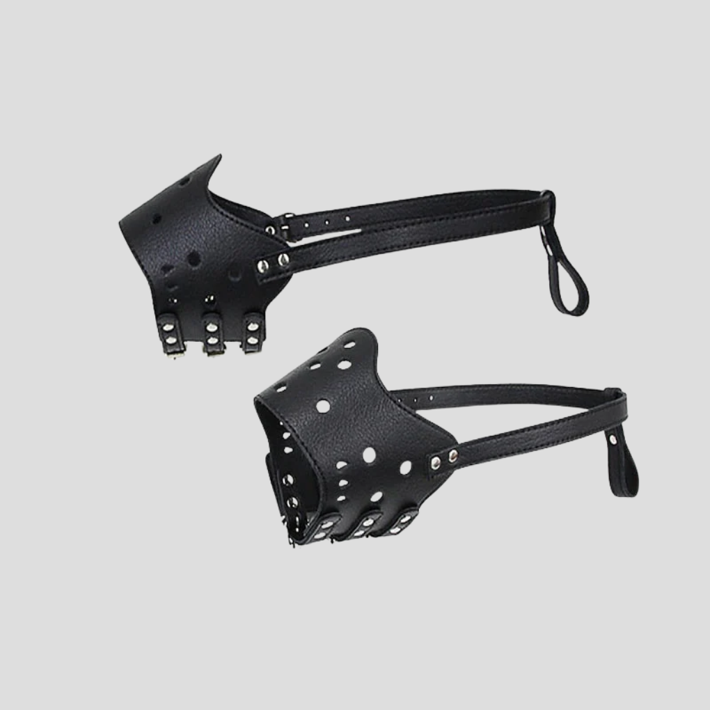 Sicheres Design für die Sicherheit Ihres Haustiers